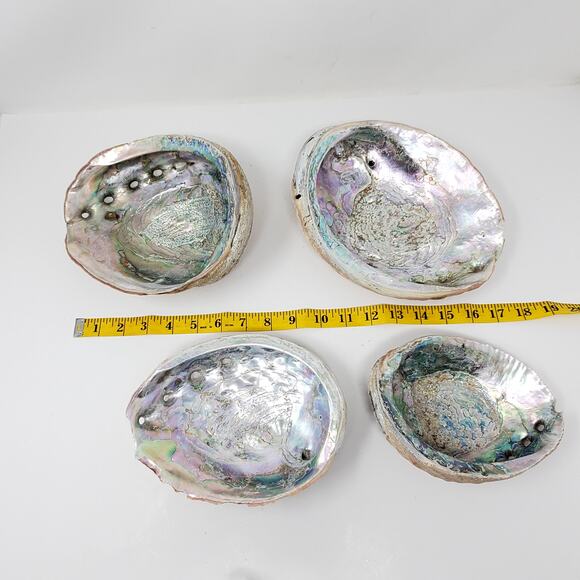 Vintage lot LARGE MOTHER OF PEARL CALIFORNIA ABALONE SHELL UNPOLISHED - Picture 8 of 8